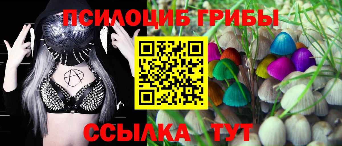 Псилоцибиновые грибы MAGIC MUSHROOMS  Вход с VPN  Семилуки  Галлюциногенные грибы ЛСД 
